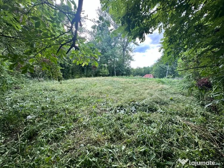 Teren de 643 mp, în Cernelele