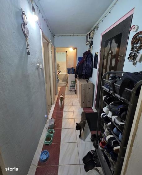 Apartament 2 camere-Decomandat-Zona Lipovei-Iulius Mall-Etaj 3 - 4