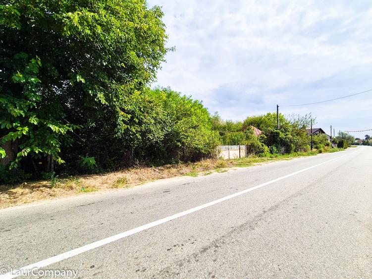 Teren Construcții intravilan de 8750 mp, în Colonești