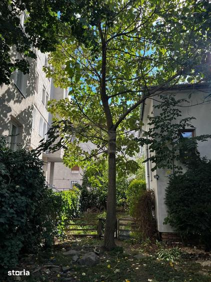 Casă cu 4 camere cu Teren 100 Mp în Central