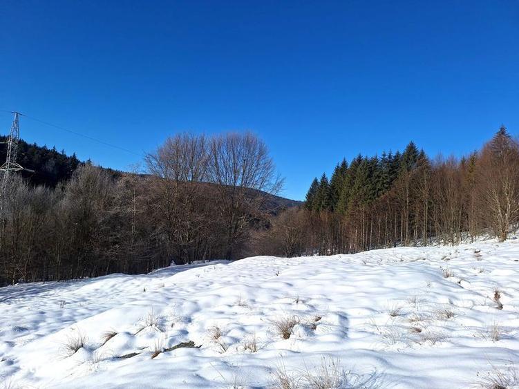 Teren de 8700 mp, în Tărlungeni