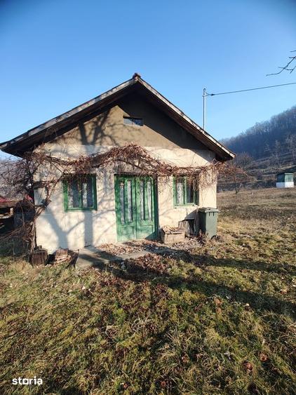 Casă cu 3 camere cu Teren 3081 Mp în Băița