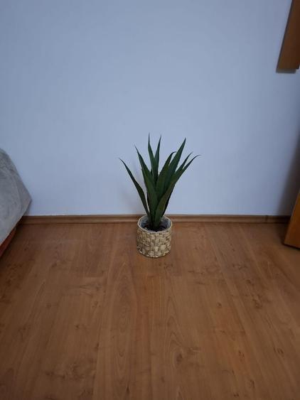 Ofer spre inchiriere apartament cu doua camere - 2