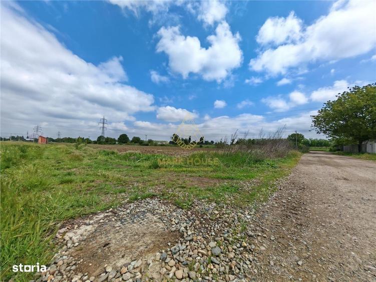 Spațiu comercial, în Șerbănești