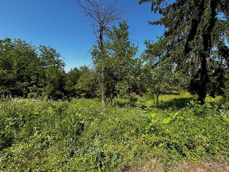 Teren extravilan de 3100 mp, în Dăești