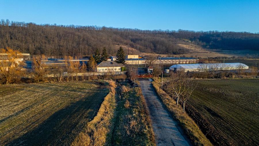 Spațiu industrial, de 50,000 mp, în Horgești