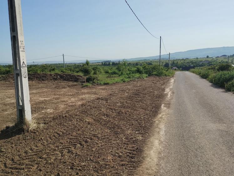 Teren Construcții intravilan de 350 mp, în Cercu