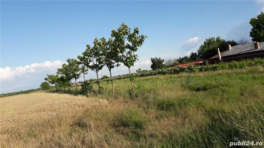 Teren în Călugăreni