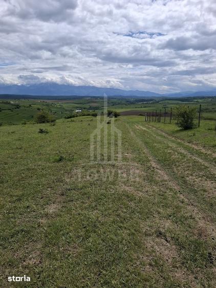 Teren de 11500 mp, în Roșia