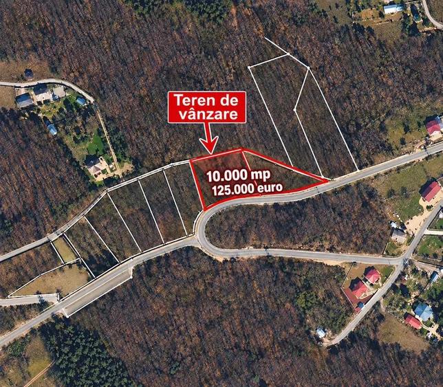 Teren extravilan de 10000 mp, în Bucium