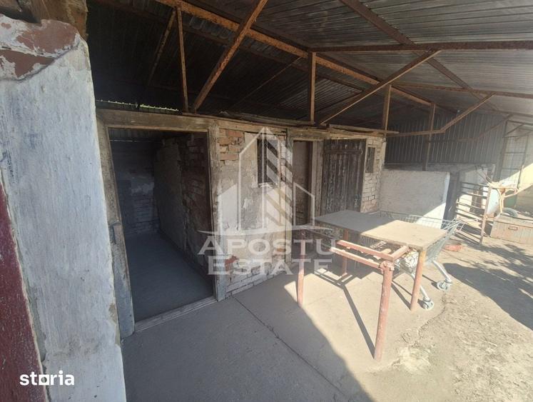 Casă cu 5 camere cu Teren 719 Mp în Periam
