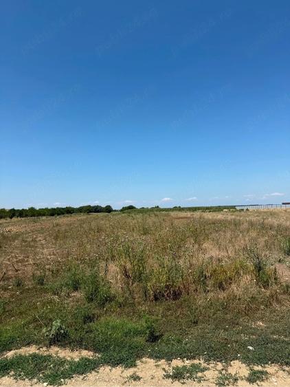 Teren de 3600 mp, în Cornetu
