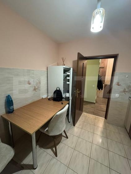 Apartament 2 camere, decomandat, parcare, zona Teilor - 10
