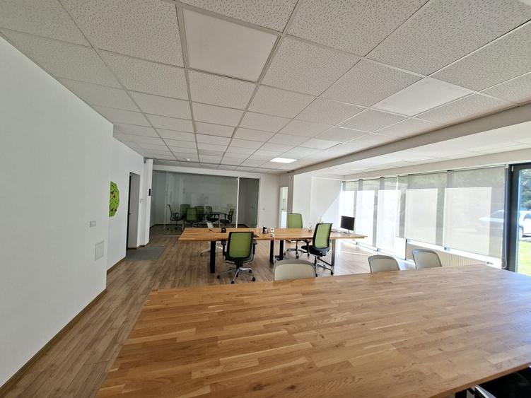 Birou, de 160.19000244141 mp, în Elisabetin