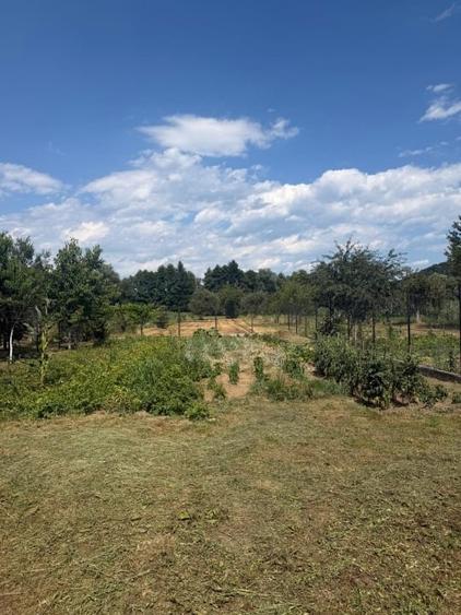 Casă individuală cu 6 camere cu Canalizare în Gladna Montană