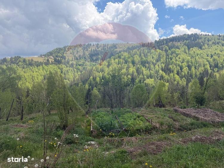 Casă cu 4 camere în Horea