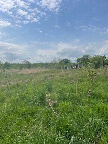 Teren de 550 mp, în Tăuții-Măgherăuș