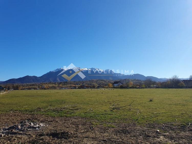 Teren Construcții intravilan de 10600 mp, în Bran