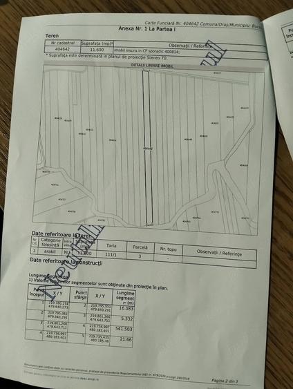 Teren de 23200 mp, în Bucovăț (Remetea Mare)