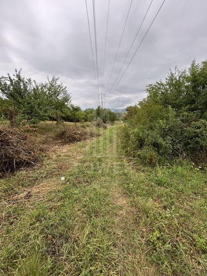 Teren Construcții intravilan de 1000 mp, în Daia