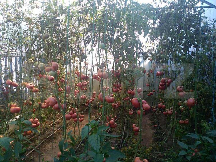 Casă individuală cu 4 camere cu Teren 1000 Mp în Pucioasa