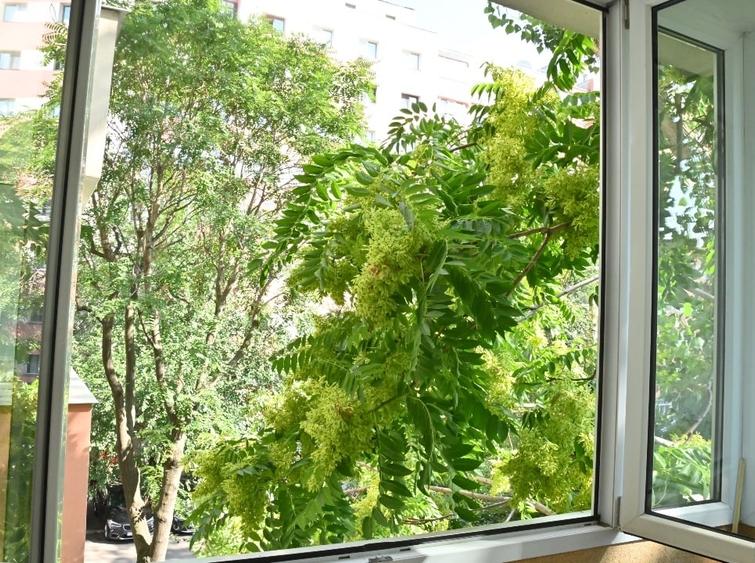 Apartament cu 2 camere semidecomandat, mobilat în Moșilor