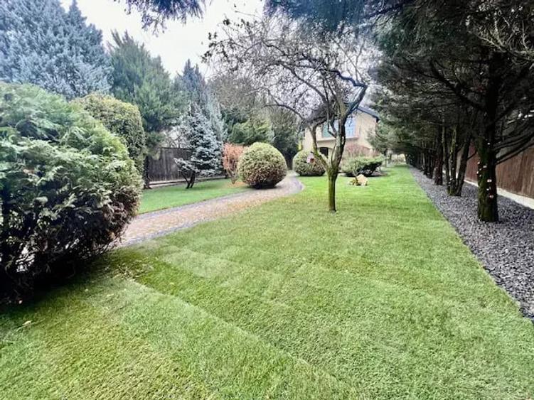 A 1607 De vanzare casa singur in curte in Tg Mure? - 7 Noiembrie - 11
