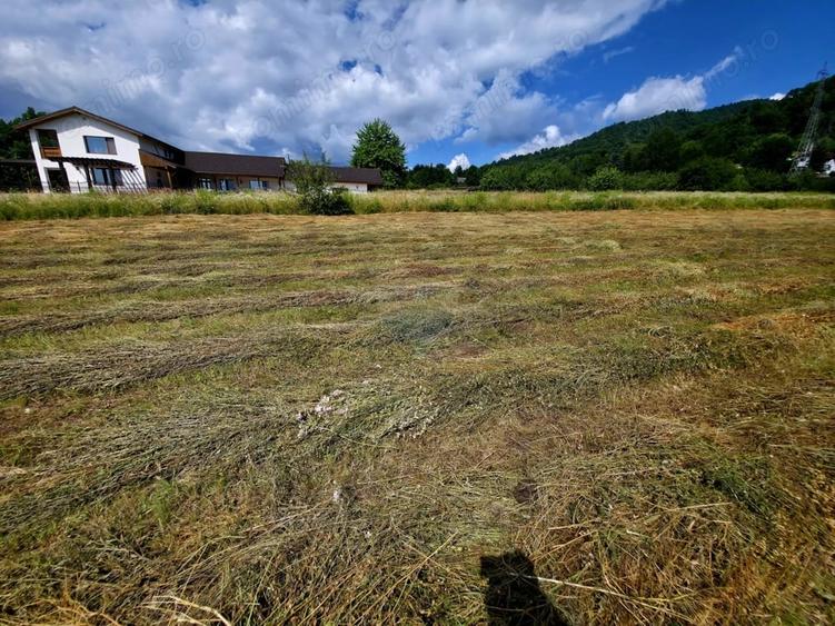 Teren de 600 mp, în Viișoara