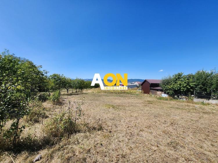 Teren Construcții intravilan de 10651 mp, în Oarda