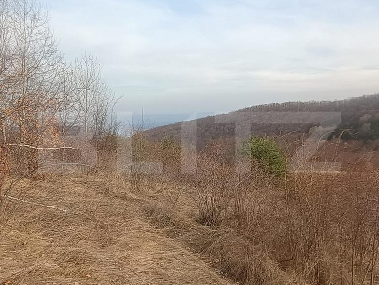 Teren Construcții extravilan de 12000 mp, în Exterior Nord