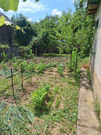 Casă individuală cu 3 camere cu Teren 900 Mp în Galicea