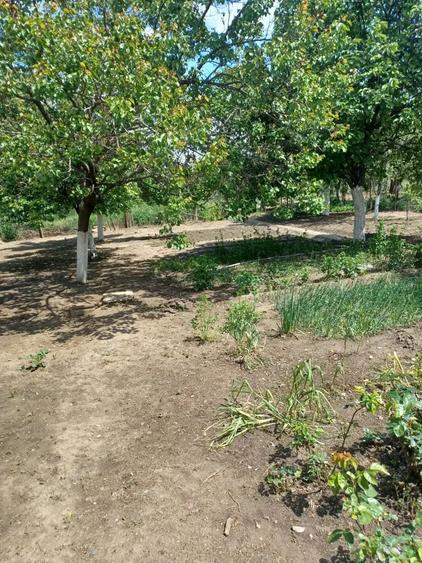 Casă cu 2 camere cu Teren 508 Mp în Central