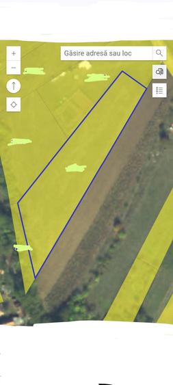 Teren agricol extravilan de 3000 mp, în Calnic