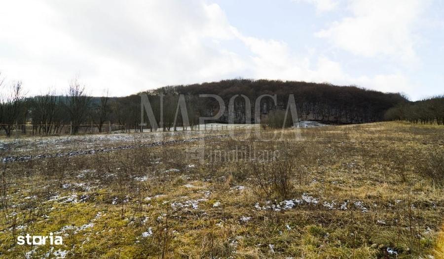 Teren extravilan pentru constructii de vanzare in Popesti - 1