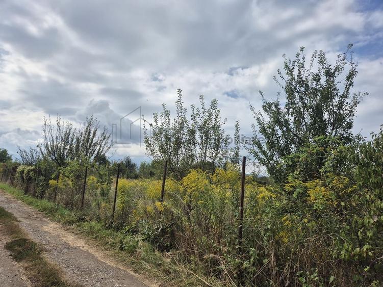 Teren Construcții intravilan de 650 mp, în Sânpetru