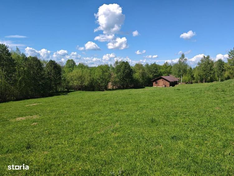 Spațiu comercial, în Sohodol