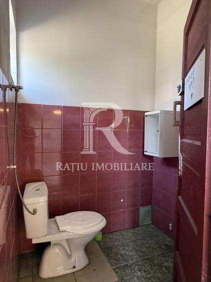 Spațiu industrial, de 700 mp, în Iosia