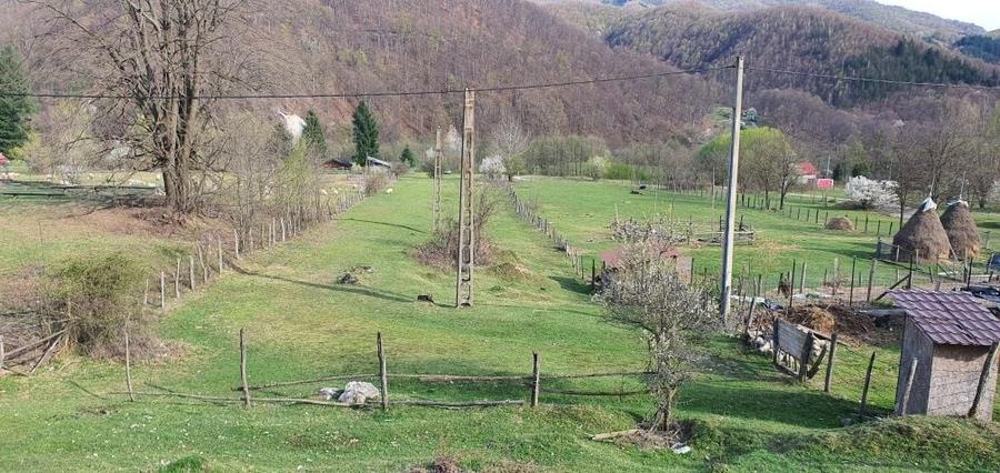 Teren intravilan Closani, Gorj,8674 mp pensiune/ casa vacanta - 5