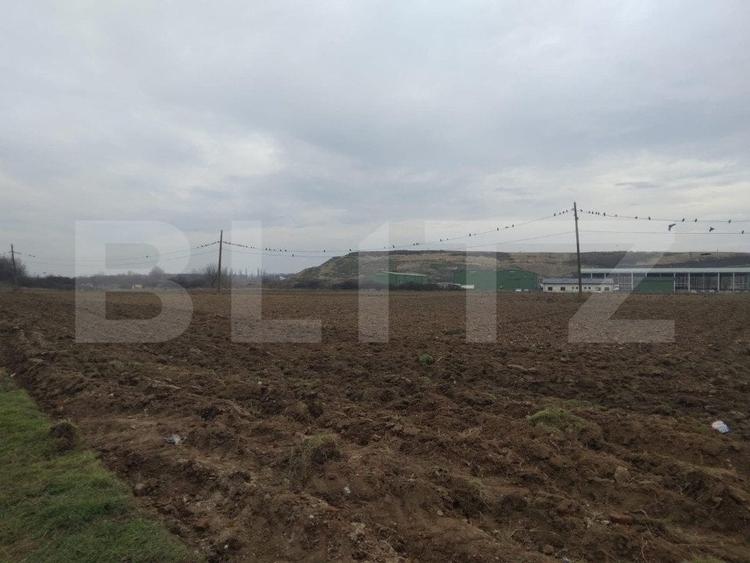 Teren Construcții intravilan de 13000 mp, în Mofleni
