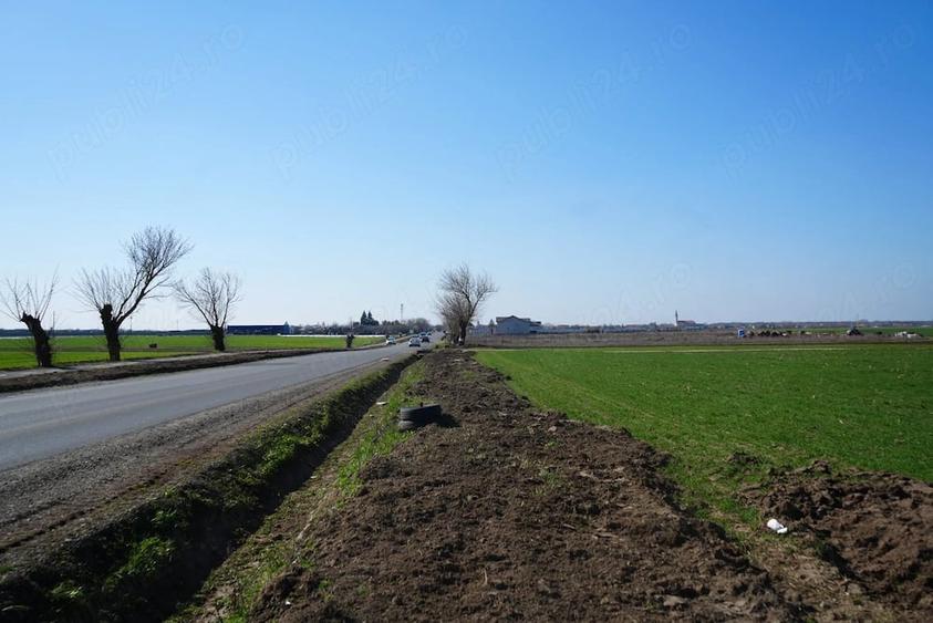 Teren de 10000 mp, în Zădăreni