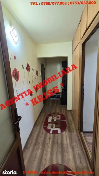 Apartament cu 2 camere semidecomandat în Banat