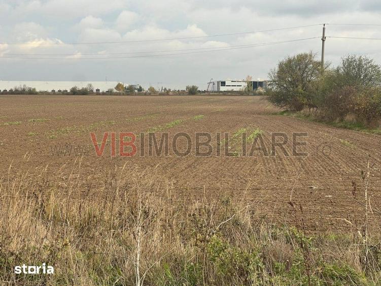 Teren de 22800 mp, în Joița