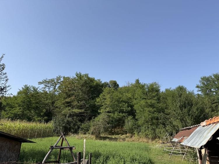 Casă cu 4 camere în Valea Siliștii