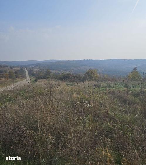 Teren de 522 mp, în Paleu