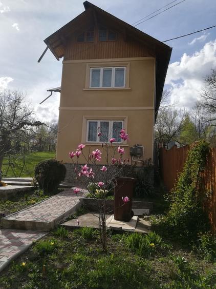 Vand casa Slanic Prahova - 3