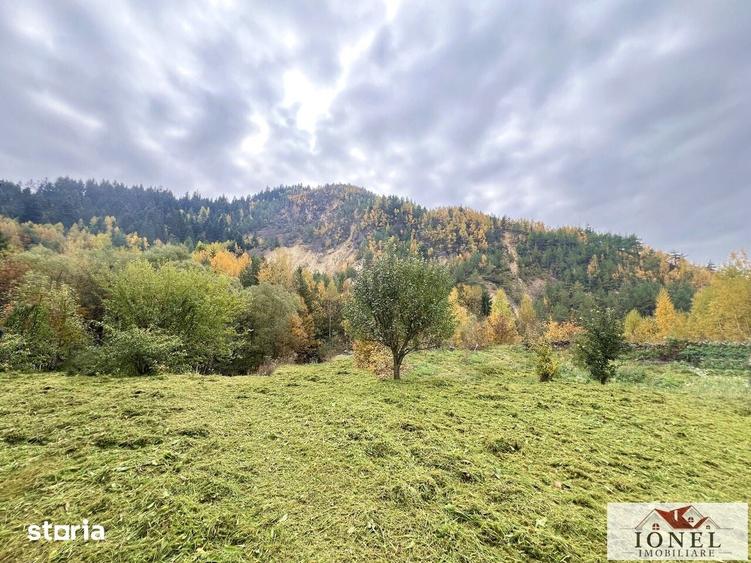 Casă cu 7 camere cu Teren 1500 Mp în Roșia Montană