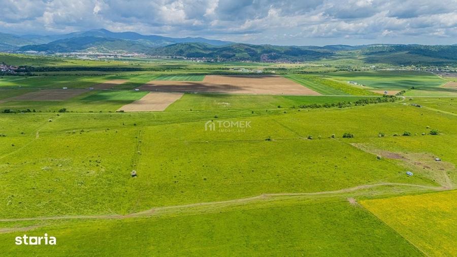 Spațiu comercial, în Tohanu Nou