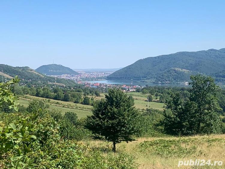 Teren de 10000 mp, în Alexandru cel Bun