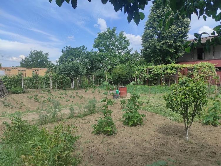Casă cu 2 camere cu Teren 812 Mp în Central