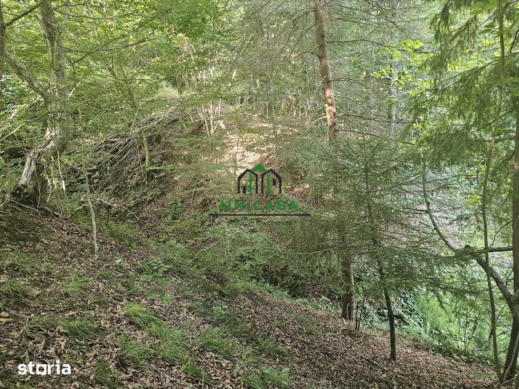Teren de 3903 mp, în Brezoi